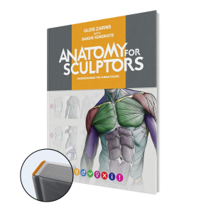 Buch Anatomy for Sculptors